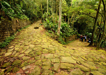 Fundação Florestal