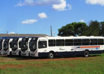 Foto: Divulgação/Revista do Ônibus